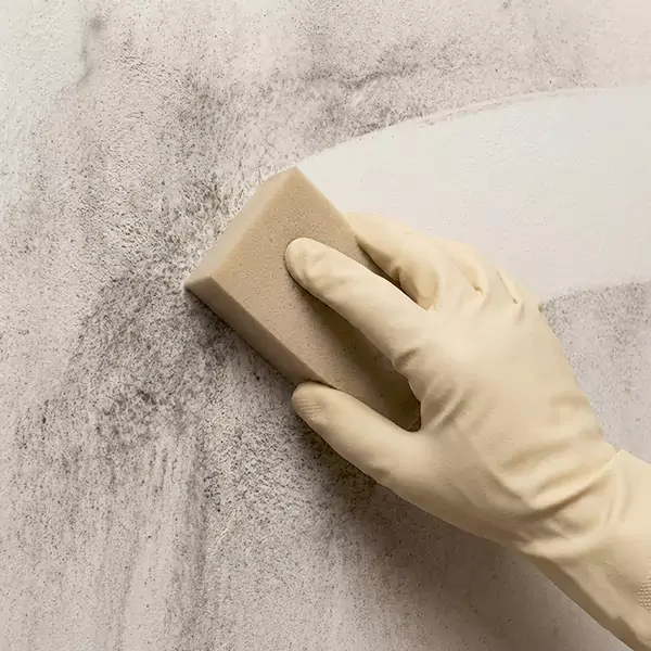 Smoke Cleaning in Plano, TX 