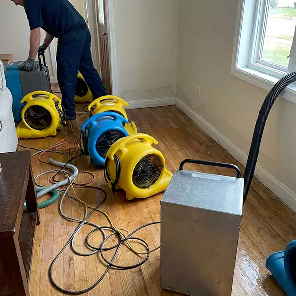 Water Mitigation Services in Plano, TX