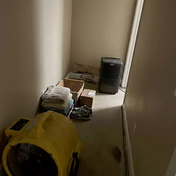 Expert Water Remediation in Plano, TX 