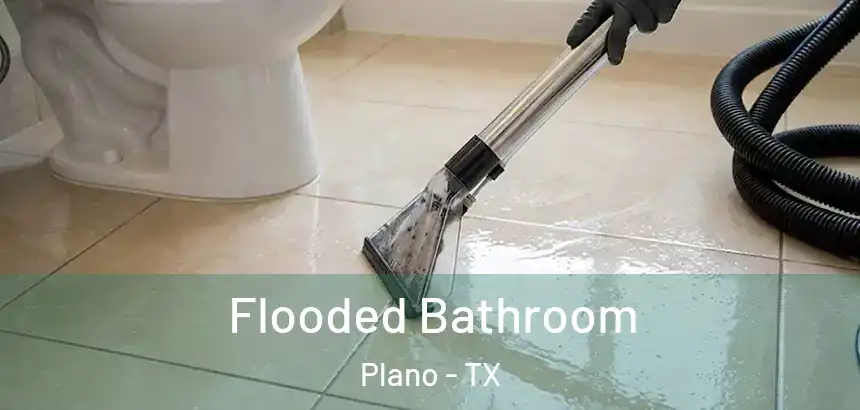  Flooded Bathroom Plano - TX