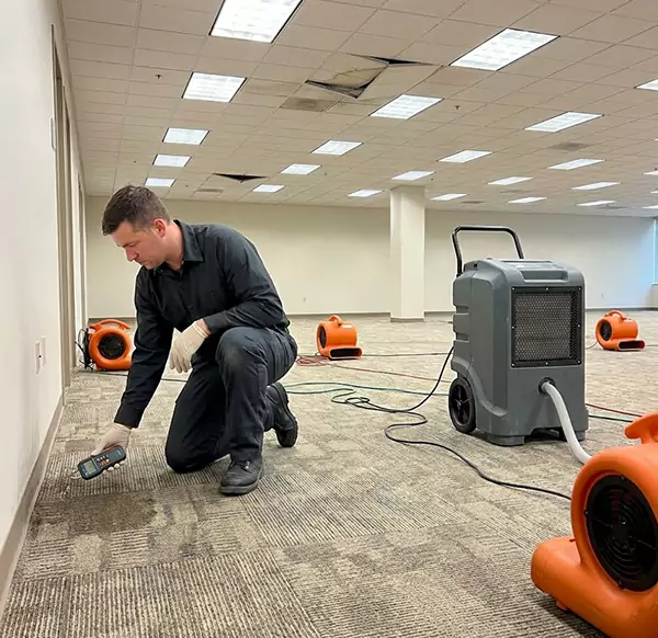 Why Businesses Choose Plano Water Restoration for Commercial Water Damage in Plano, TX?