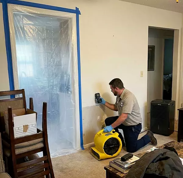 Why Homeowners & Businesses Choose Plano Water Restoration for Water Remediation in Plano, TX?