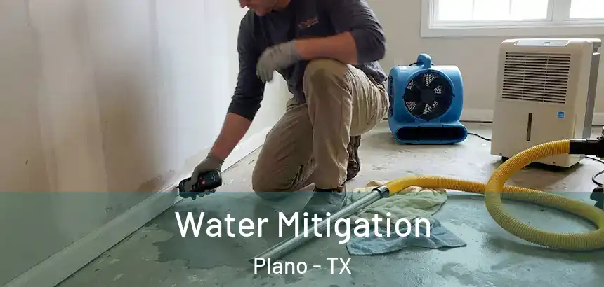  Water Mitigation Plano - TX